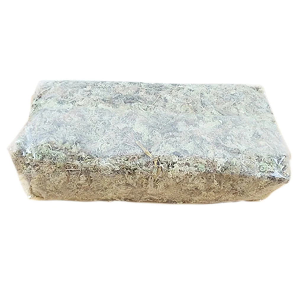 Натуральное культивирование средний водный мох Sphagnum сухие подложки водяной