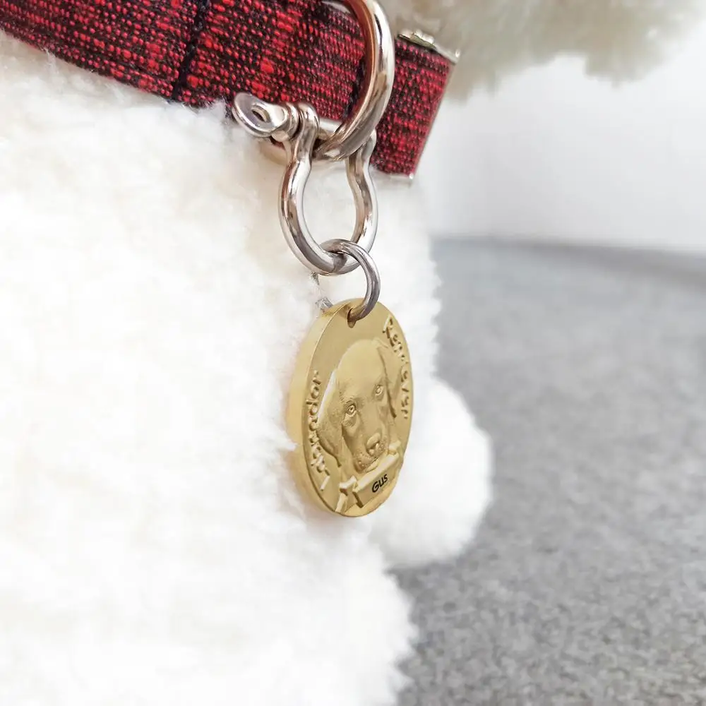 Именная латунная идентификационная бирка MW008 3D модель собаки изображение породы