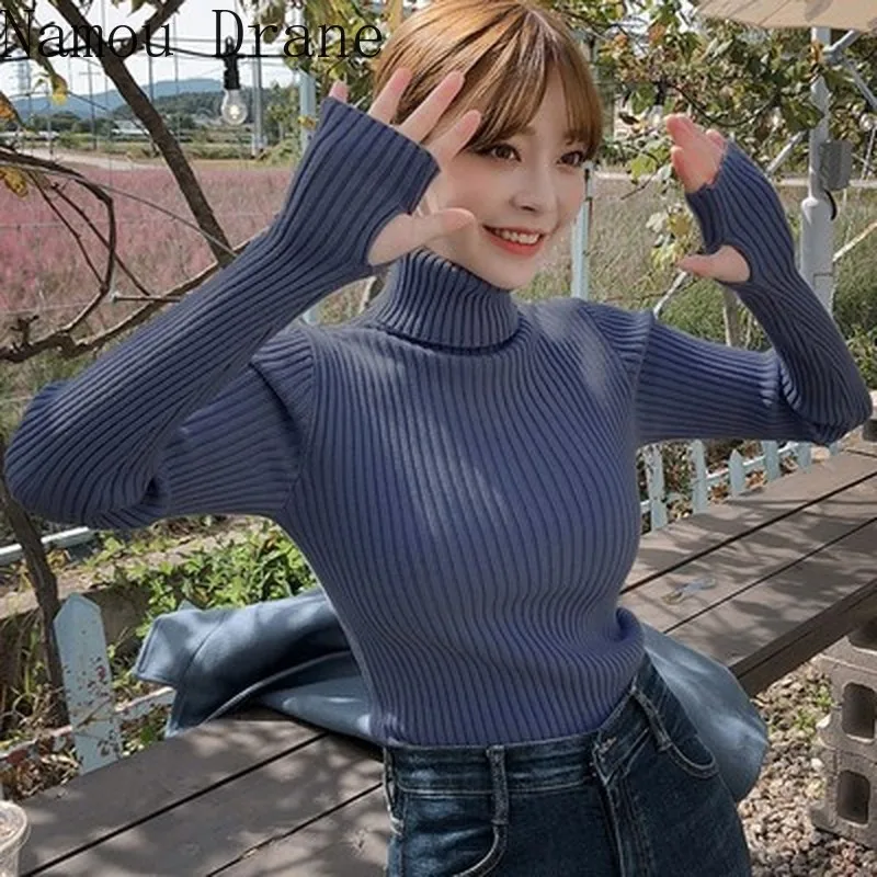 

С высоким, плотно облегающим шею воротником пуловеры новая модель зимней обуви из краев утолщение наборов Палец Пальто heap трикотаж render