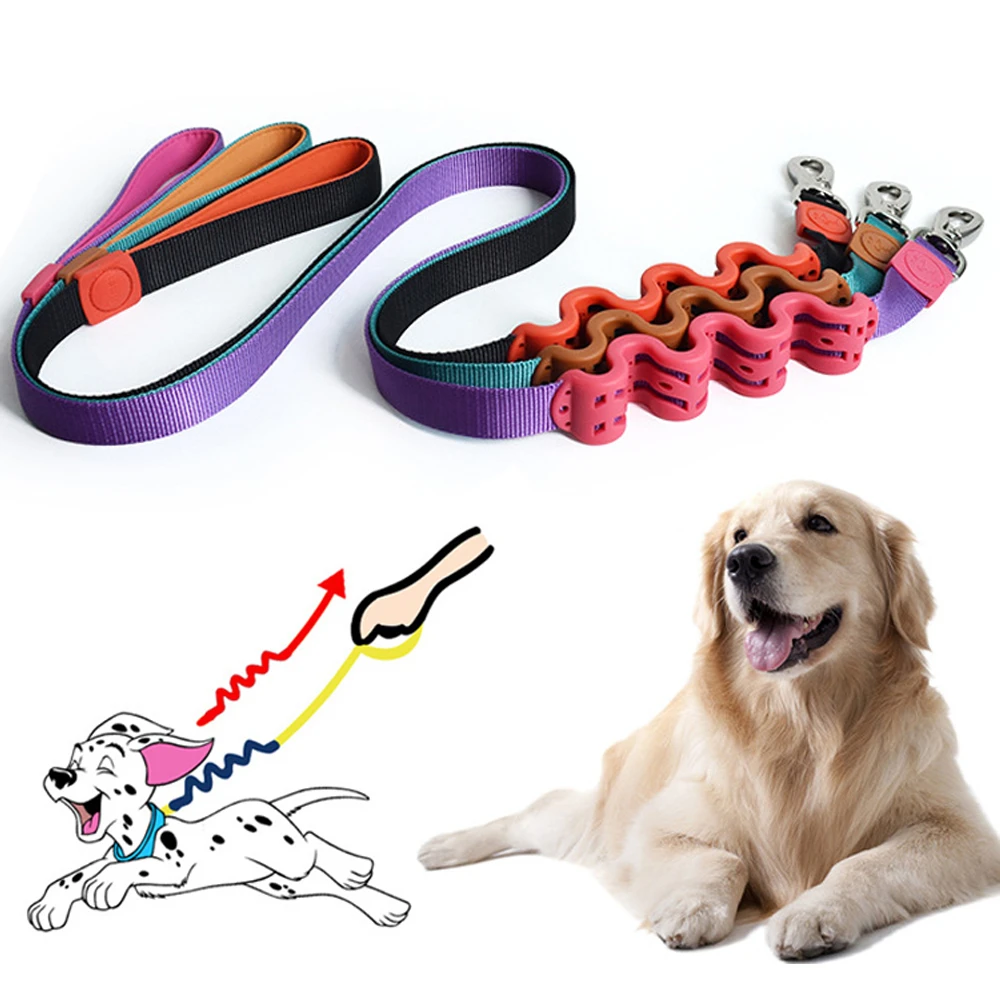 

Pet Harness Leash for Cat Kitten Lead Elastic Buffer Rope To Prevent Riots Outdoor Safe Walking Pet Supplies with Grip Handle