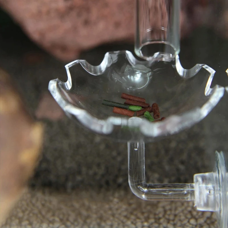 

Fish Tank Shrimp Food Feeder Aquarium Hanging Feeding Dish Bowl Dispenser for Crystal Red Shrimp Snail Fish