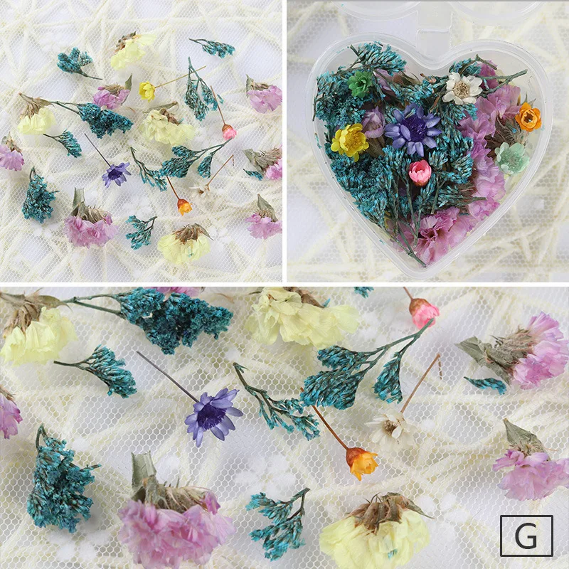 

1box New Dried Flowers Real Pressed Flower Leaf Dried Daisy Flower Resin Flower Dry Beauty Nail Art Decals Epoxy Mold Heart Box