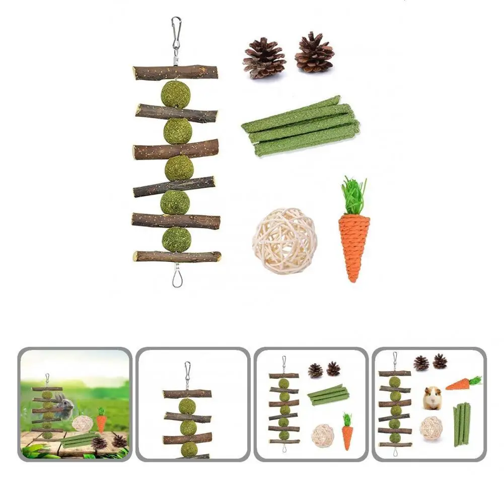 

Развлечения 6 шт. безопасный Кролик Хомяк жевательные игрушки молярные игрушки хомяк жевательные игрушки устойчивые к царапинам игрушки дл...