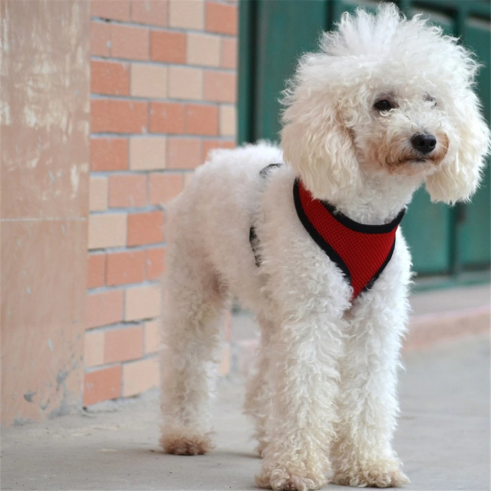 Регулируемая шлейка для собак Воздухопроницаемый Сетчатый поводок кошек