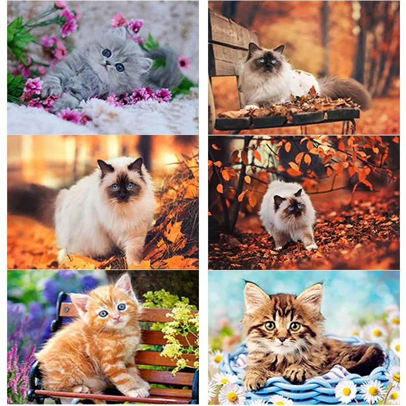 

5D DIY Diamond Painting Manual Crafts Gift Cute Cat Diamond Embroidery Animal Cross Stitch Full Square Round Drill Home Decor