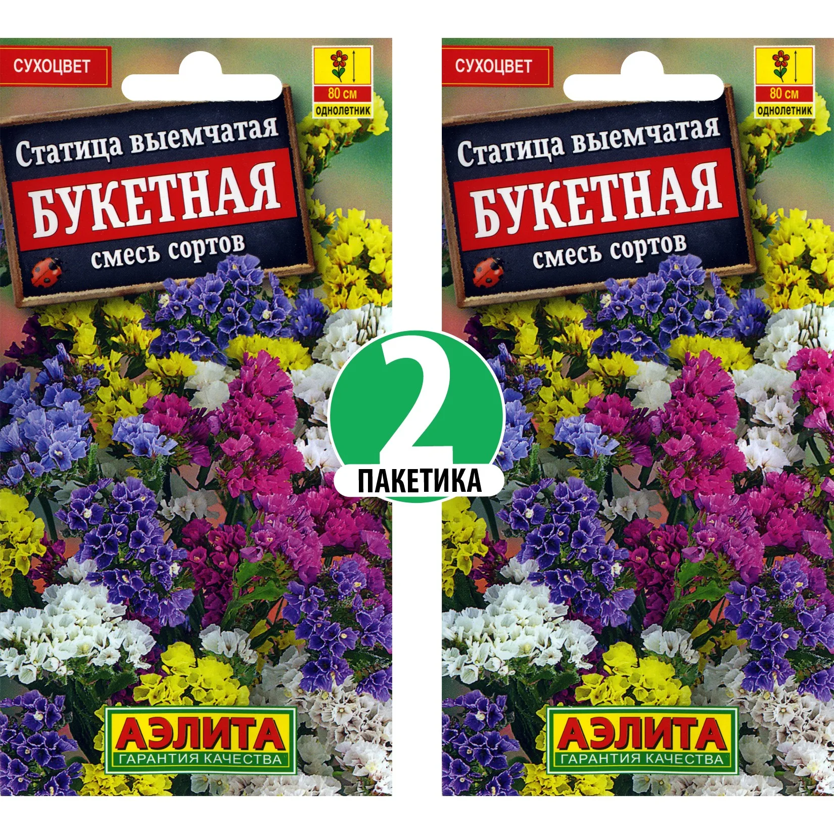 Статица на клумбе с другими цветами