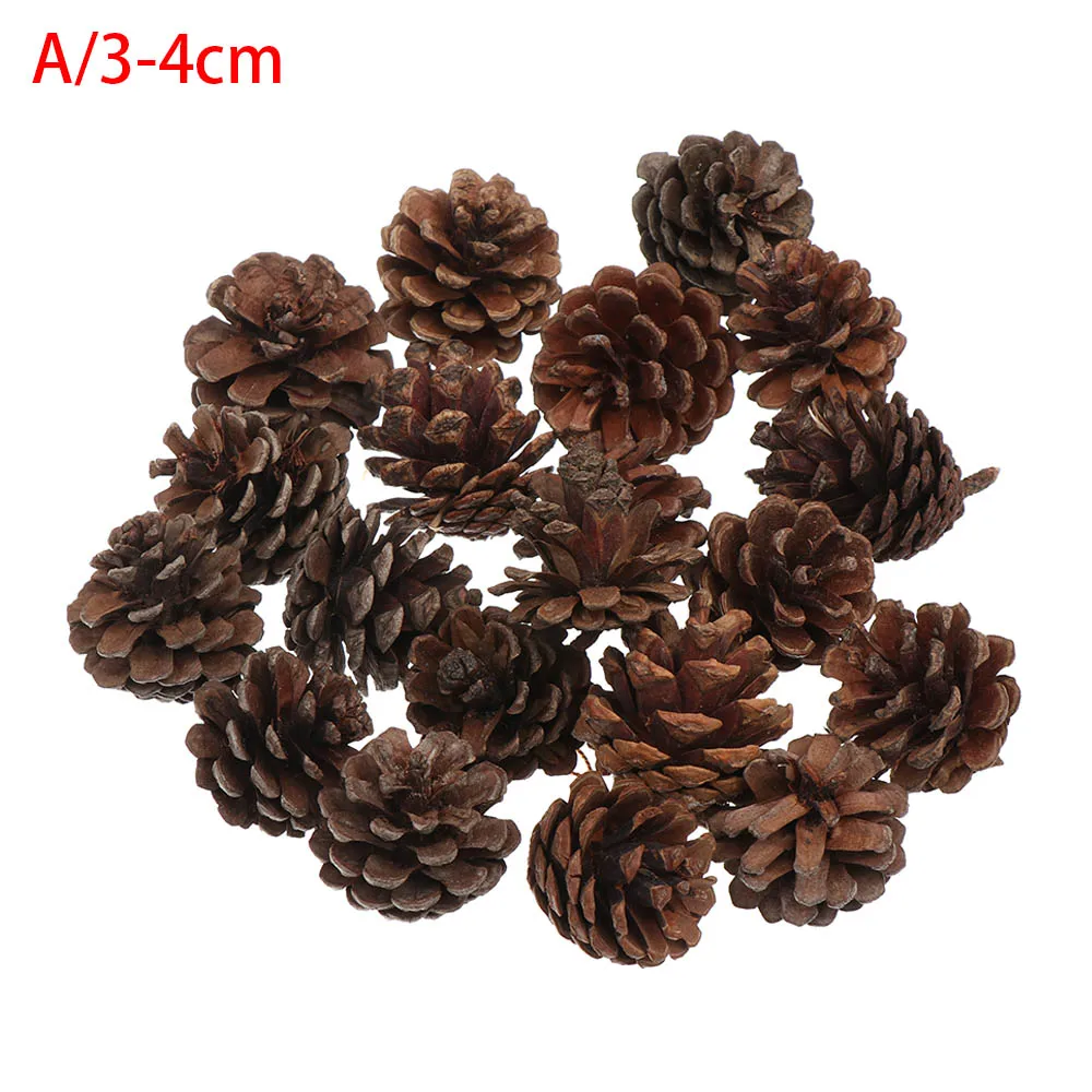 5/20 шт. Рождество натуральные сухие цветы сосновая шишка желудь искусственные цветы для украшения дома DIY ВЕНОК подвесное украшение - Цвет: A--3-4cm 20pc