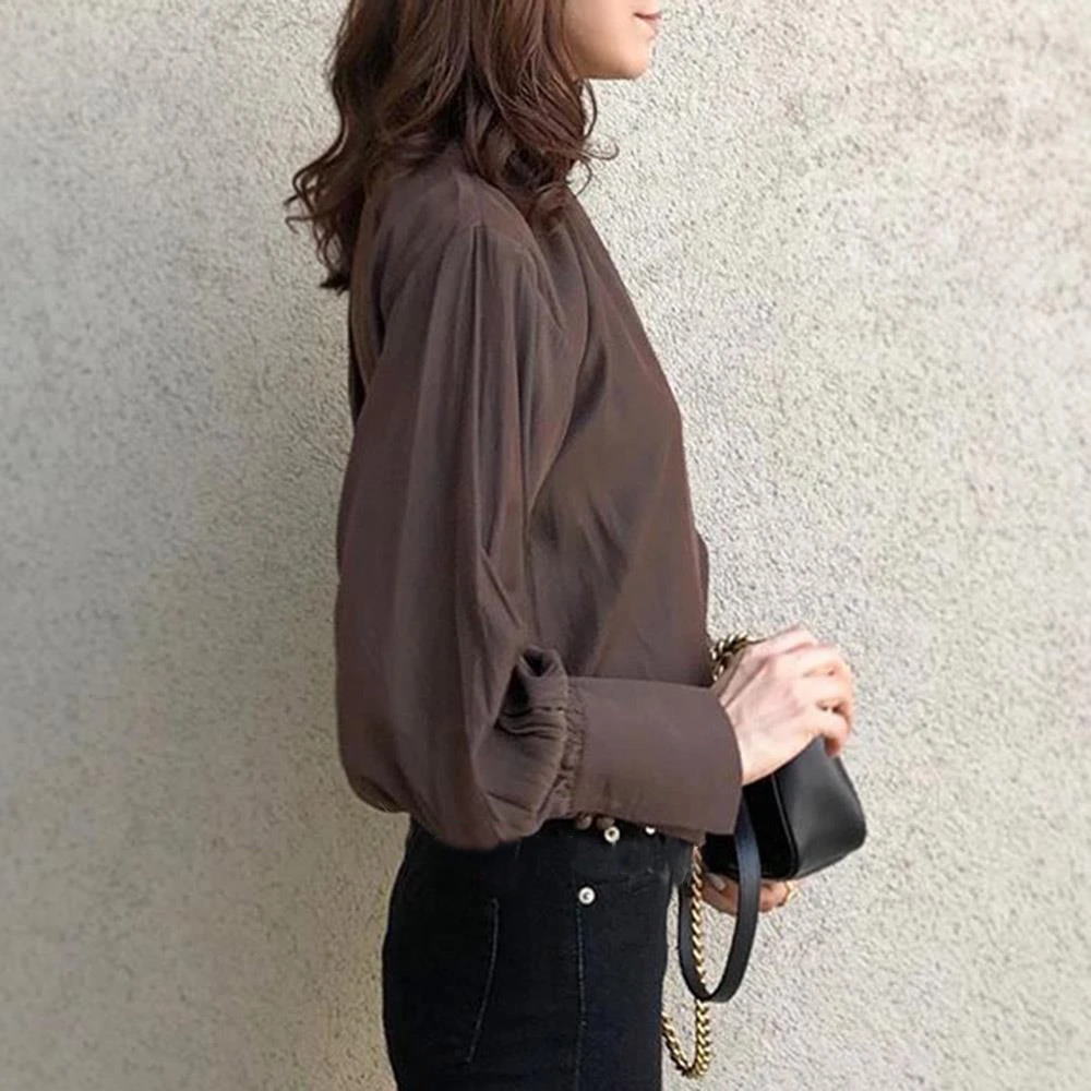 

Women Shirt 2021 Spring Long Sleeve Casual Office Blouse Lady Long Sleeve Shirts Ladies Chic Office Lady Tops