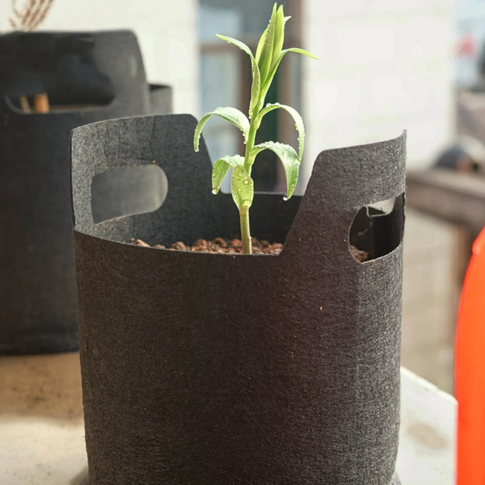 

1/2/3 Gallon Vegetable Plants Pot Growing Container Flower Planting Black Aeration Bag Black Non-woven Plant Growth Bag