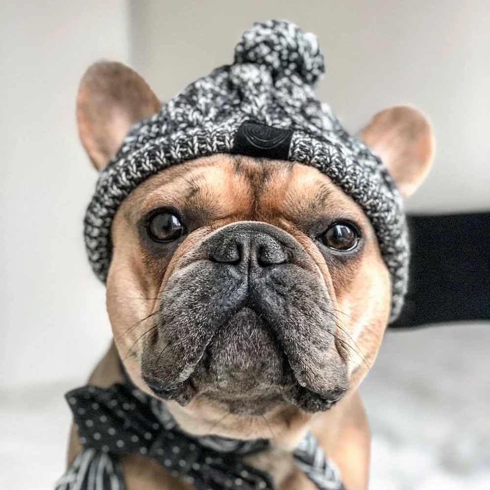 

Зимняя шапка для собак Классическая теплая вязаная теплая шапка для собак среднего размера SAL99