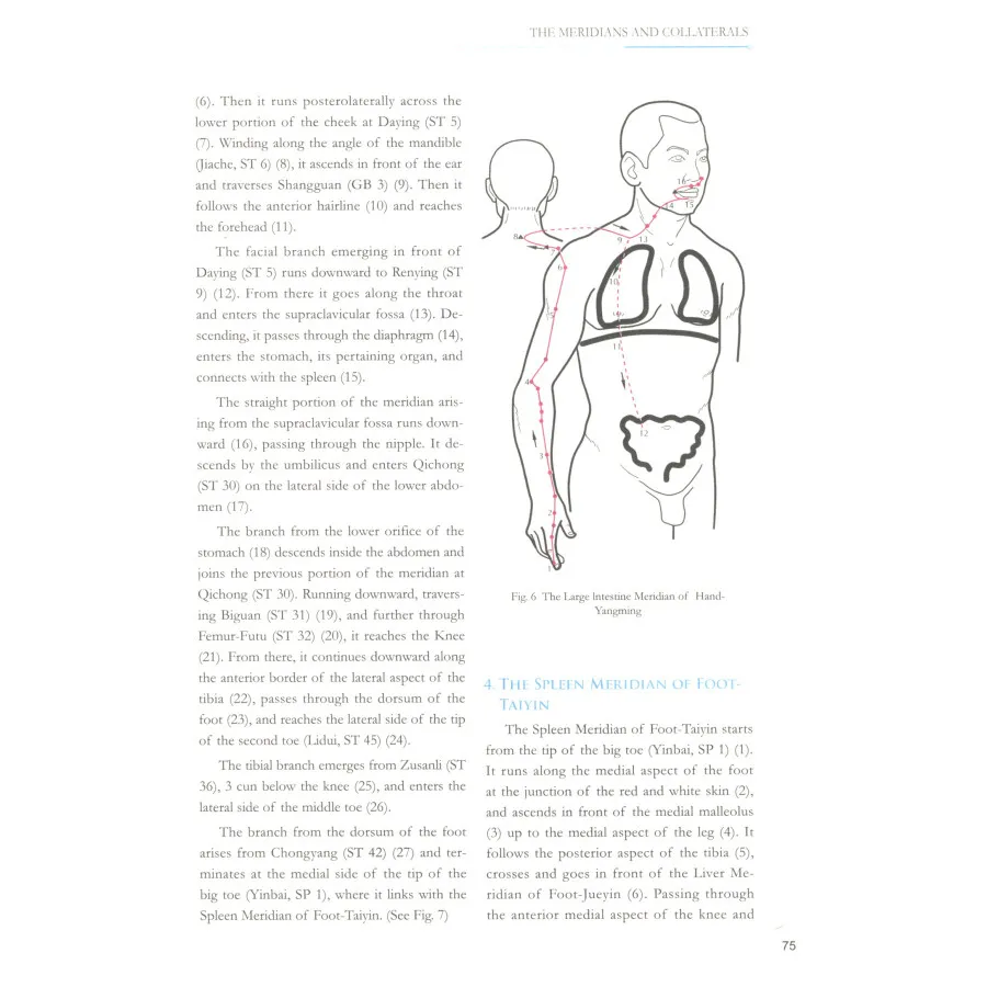 Китайский акупунктуры и прижигания мокса книги Cheng Xinnong Традиционный китайский