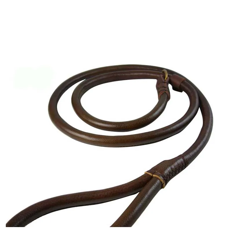 

P Chain Dog Leash Slip Collar pet Walking Leads Cowhide Dog Mountain Climbing Rope puppy pet Traction small Medium Large Dogs