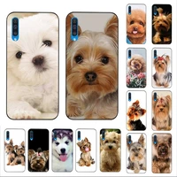yinuoda yorkshire terrier dog newest fashion phone case for samsung a30s 51 5 71 70 40 10 20 s 31 a7 a8 2018