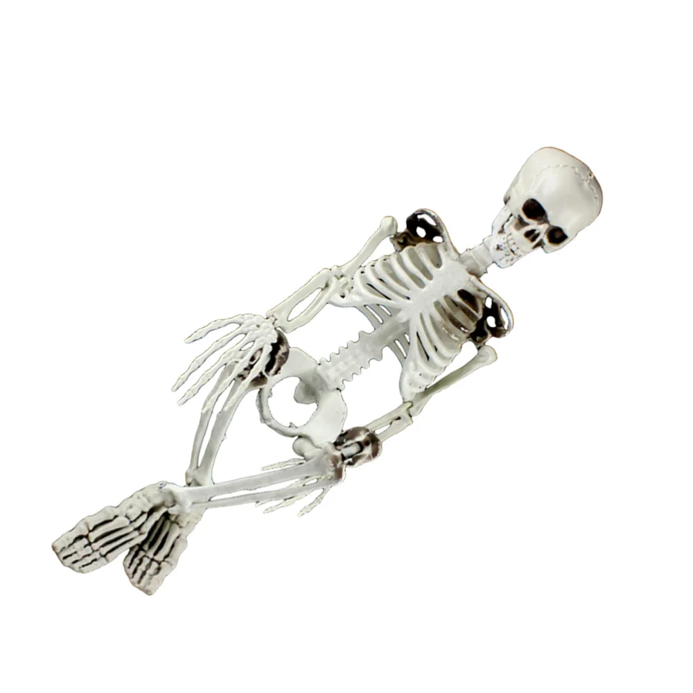 

Skeleton Pendants Artificial Human Skeleton Props Skeleton Frame Party Decoration for Haunted House