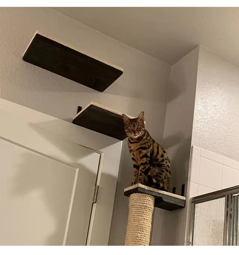 Wall-mounted Cat Solid Shelf Climbing Frame Cat Tree Hammock Pet Furniture Play House