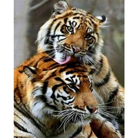 diamond for adults full drill diamond art 5d diamond painting kit for home wall decor gift tiger couple