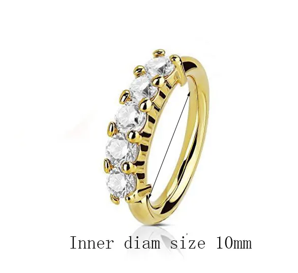 

1 Pcs Piercing Nose Ring Expander Seamless Segment Ear Nose Hoops Gold Color Cz Tragus Cartilage Earrings Nostril Body Jewelry