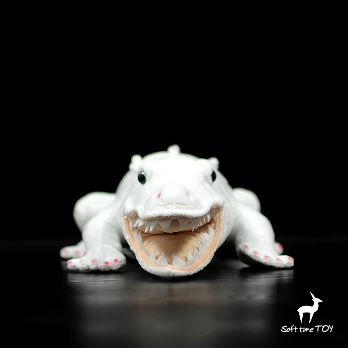 

gift model white crocdile