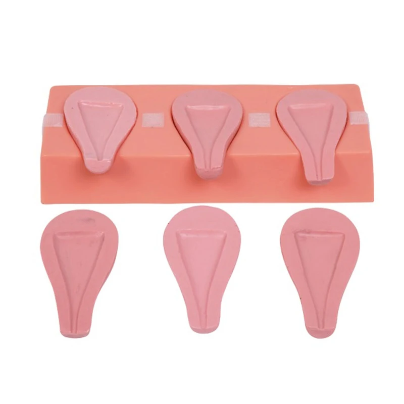 Искусственный прерыватель модель контрацепции матки анатомия и беременности|model