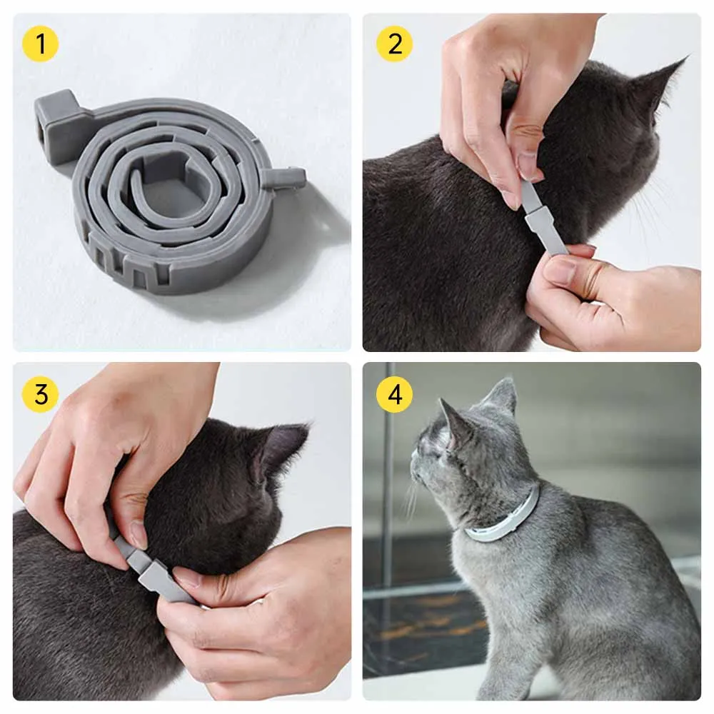 

Cat Collar 8 Month Flea Tick Collar For Dogs Cats collar Pet Adjustable Dog Collar for Small Dogs Pets Accessories Cute Products