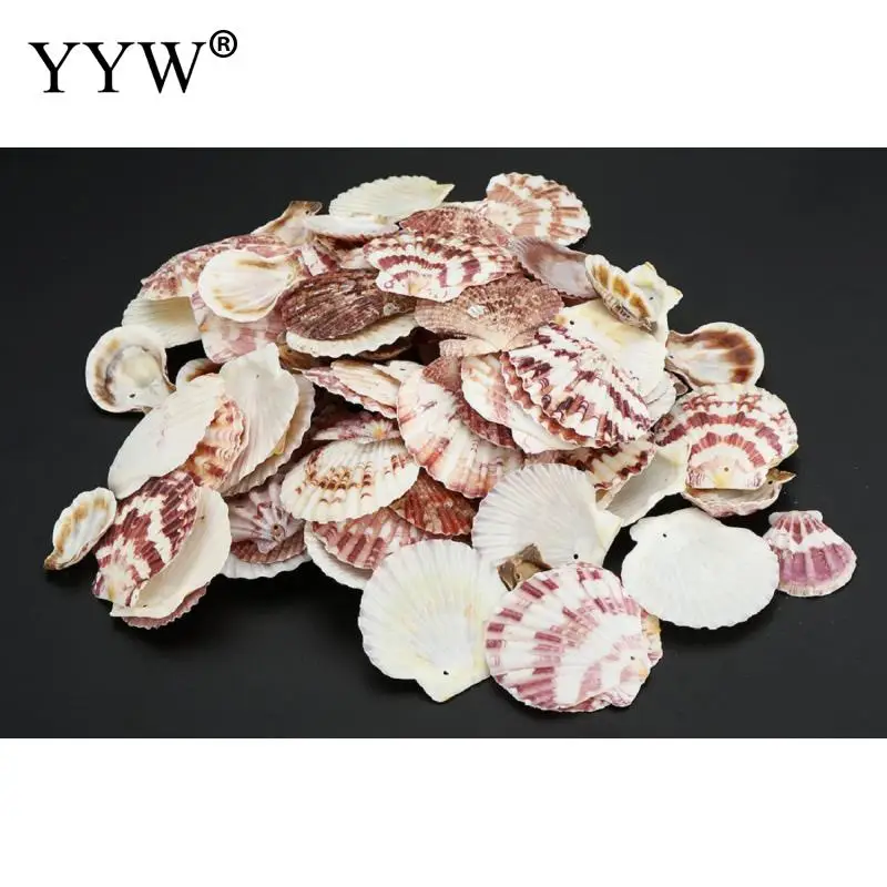 100 шт./пакет морские раковины Schelpen Coquillage Conchas Shell для украшения дома Вавилон морской домашний Морской Декор 1,5 мм гребешок