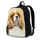 Модные сумки Cavalier King Charles Spaniel, рюкзаки, кавалер Кинг, Карл-спаниель, кавалер Кинг, Чарльз-Кинг