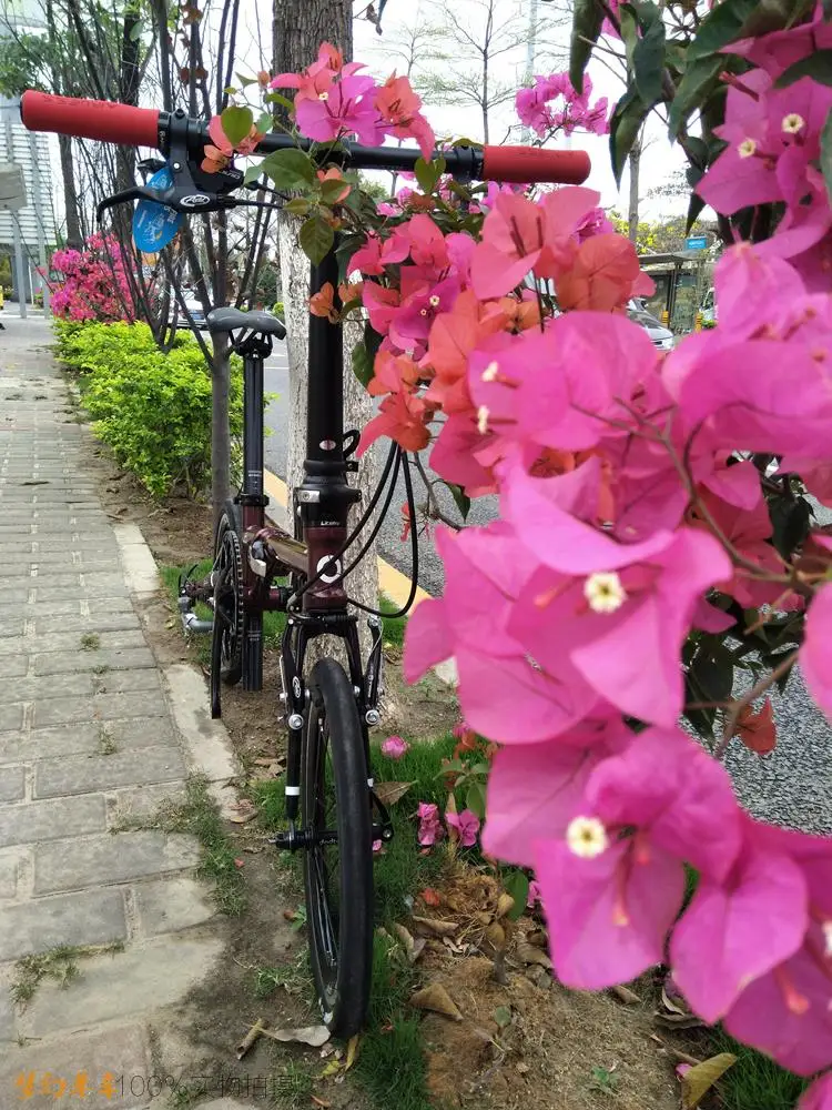 Fnhon FCG1609 складной велосипед 16 дюймов Minivelo CR-MO сталь V тормоз 9 скоростей городской Commuter велосипед для Shimano Shift ретро досуг BMX