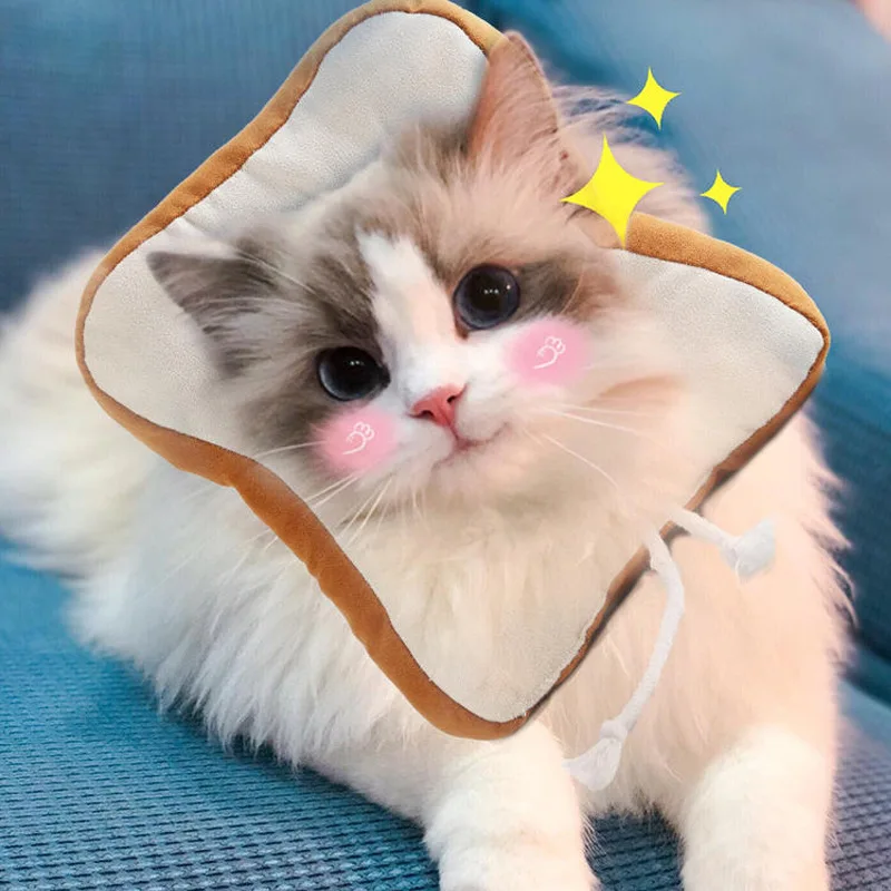 

Cat Protective Collars Elizabeth Protection Collar Healing Protection Dog Cat Collars Anti-Bite Neck Cone Pet Cat Accessories