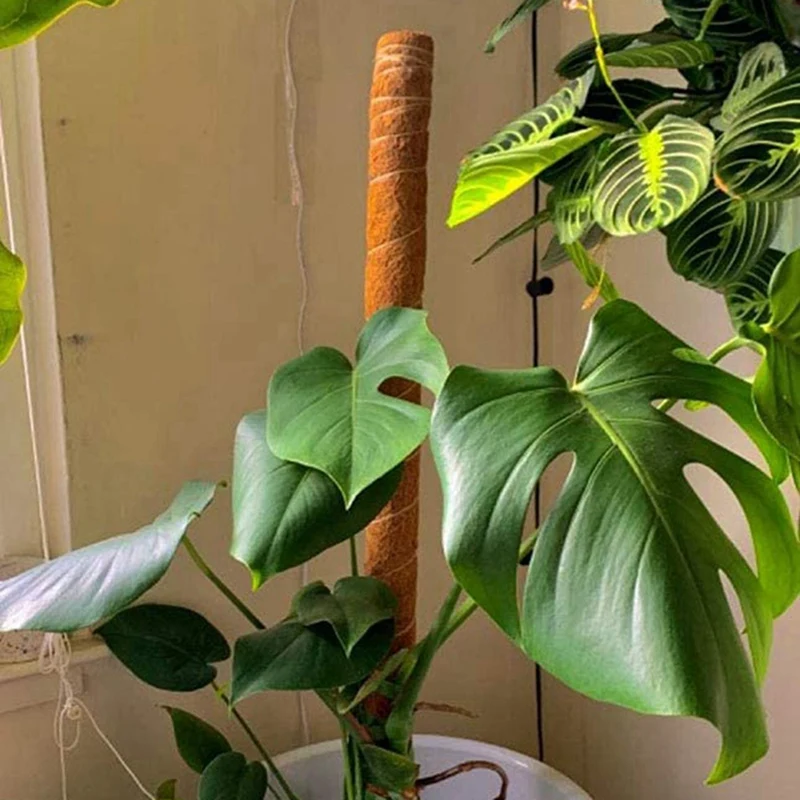 

3Pack 17.7 Inch Coir Totem Pole Moss Pole & 5Pcs, 40cm Plant Support Coconut Tree Moss Stick Totem Pole