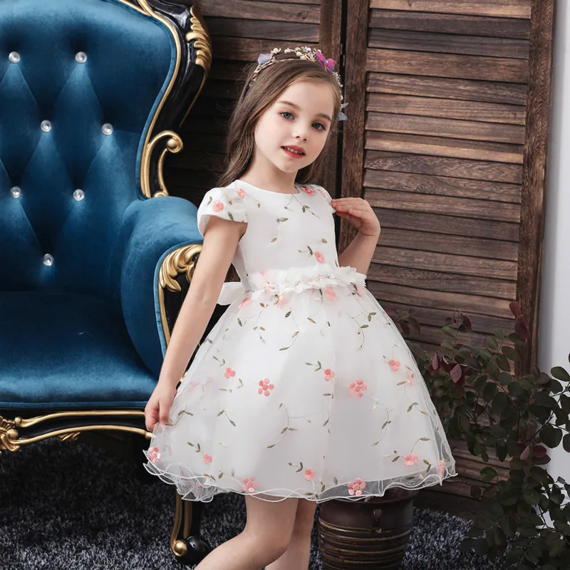 2019 Autumn New Baby Girl Dress Soild Embroidered Full Party Princess Screen Yarn Banquet Clothing 0-5 Year Wear | Детская одежда и