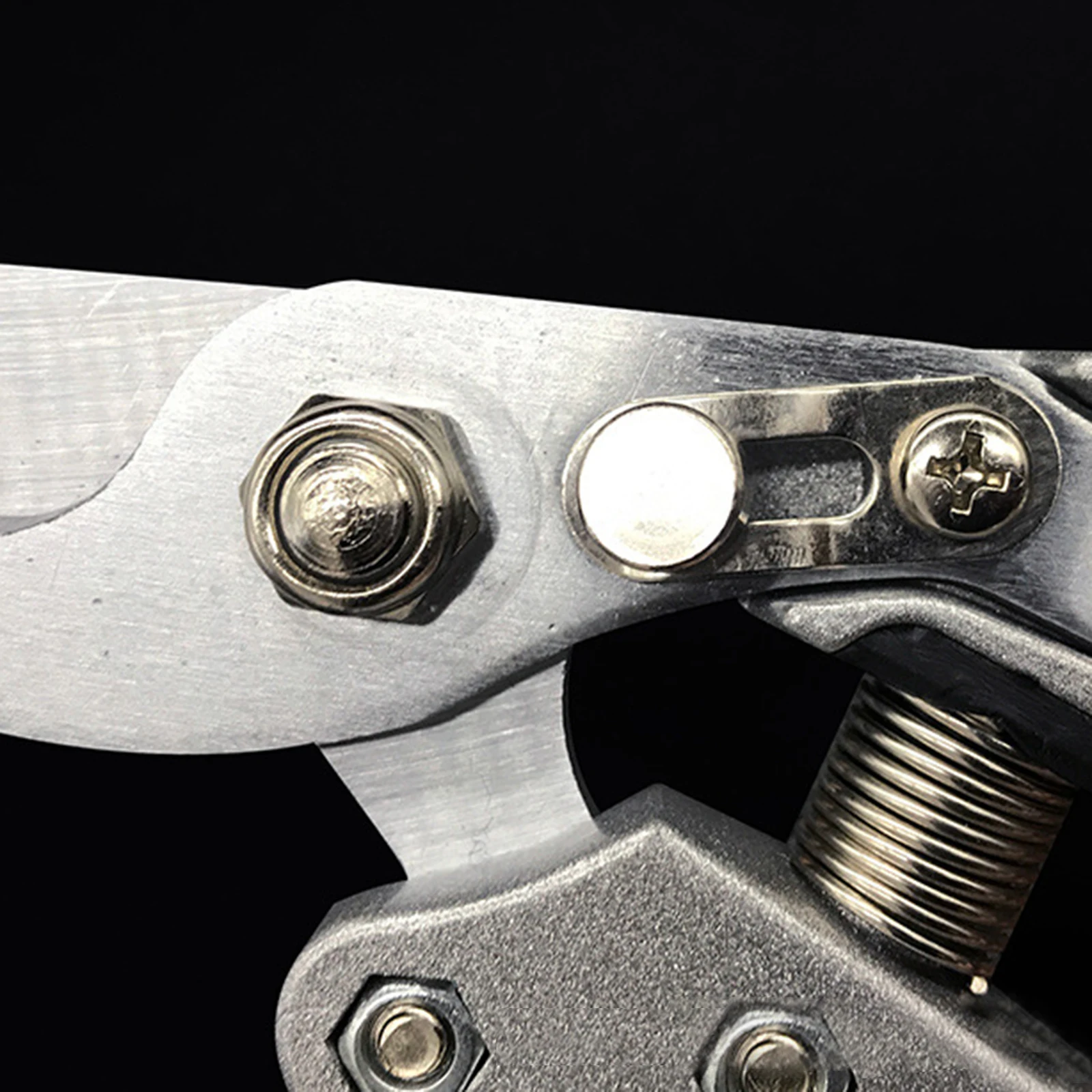 

Gardening Pruning Shears Stainless Steel Garden Shears silver Pruner with Curved Blade Gardening Tool for shaping trimming