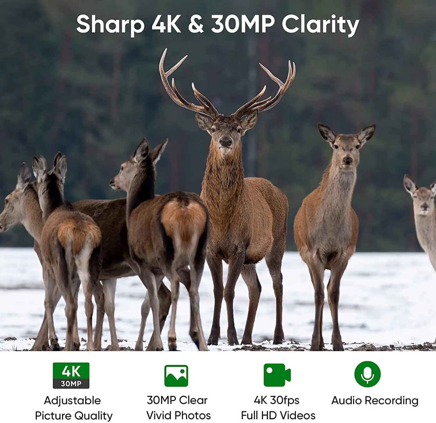 Охотничья фотоловушка 4K Wi Fi 30 мп управление через Bluetooth ночное видение 830PRO для