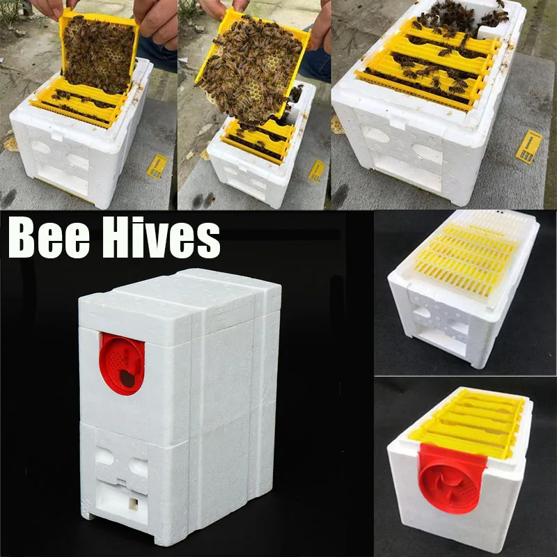 Коробка для сбора пчелы улья пчеловодство королевская коробка - Цена: 7 681,98 руб.