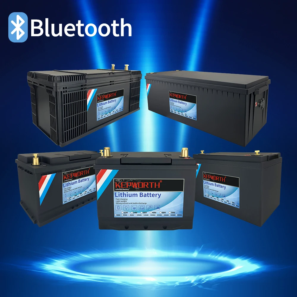 Литий железо фосфатный аккумулятор 12 В LiFePO4 встроенный Bluetooth BMS 40 60 80 100 120 160 200 Ач