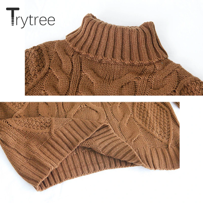 Осень-зима 2020 Женский Повседневный свитер Trytree водолазка однотонный вязаный