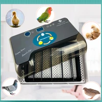 digital egg incubator automatic egg hatcher 12 eggs automatic turning chicken duck quail pigeon egg incubator us eu uk au plug