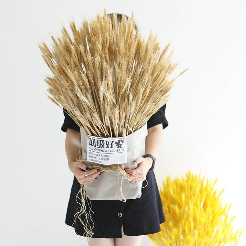 

100pcs Natural Dried Flower Wheat Ears Bouquet For Wedding Marriage Party Decor DIY Craft Christmas Decorations For Home Room