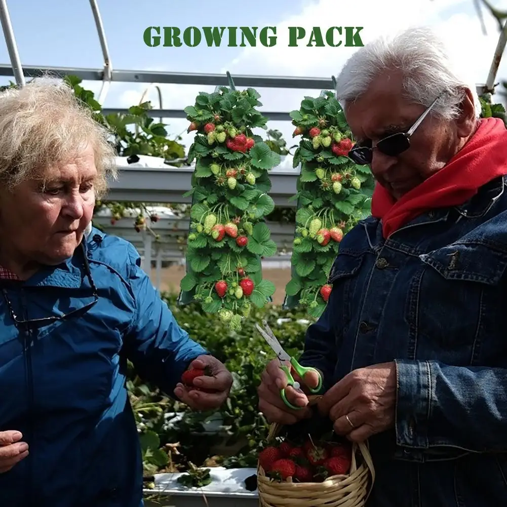 

PE Planting Bag Hanging Breathable Fabric Plant Pots Pocket Vertical Grow Bags Hanging Wall Planting Bag Planter Pocket