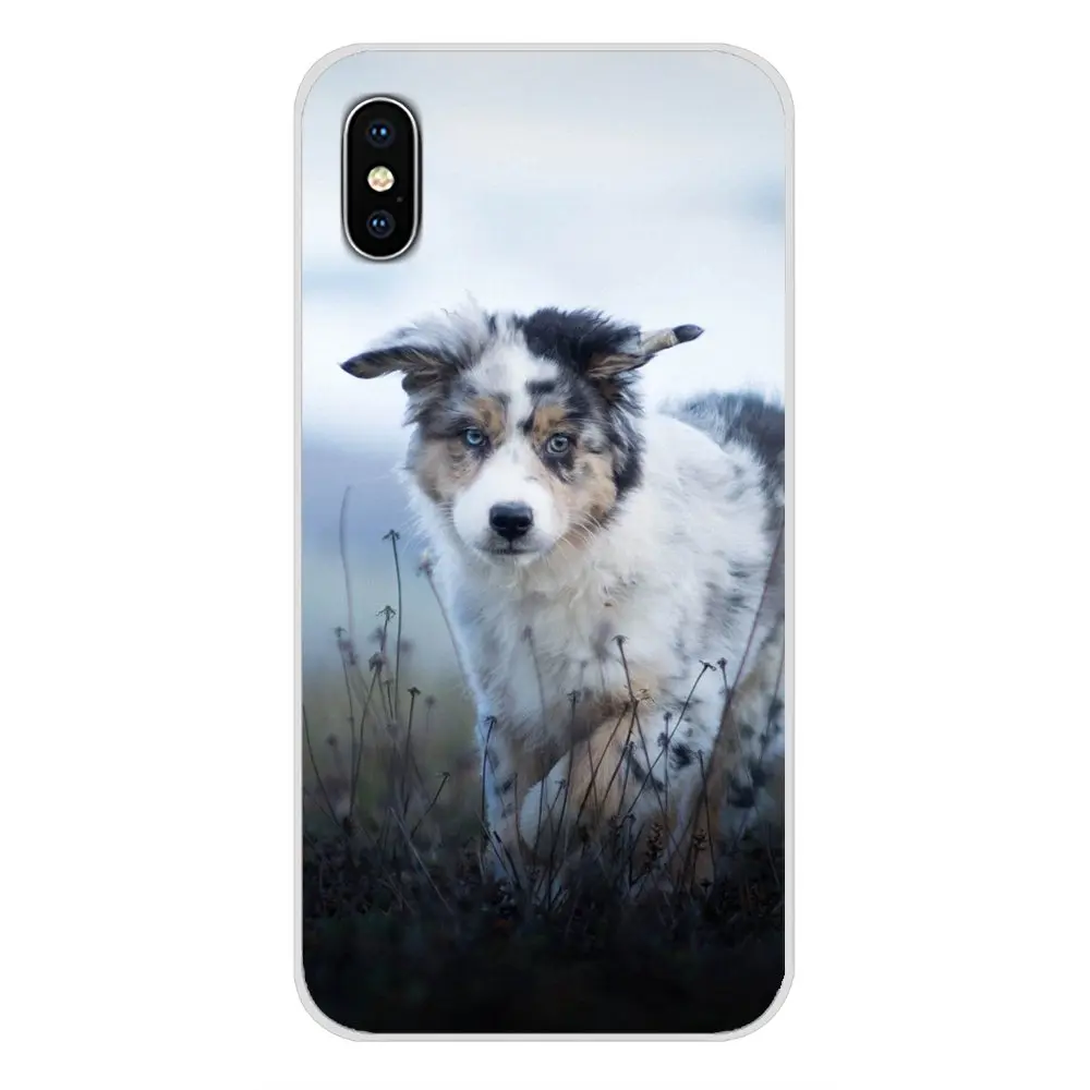 Аксессуары для телефонов Samsung Galaxy S2 S3 S4 S5 Mini S6 S7 Edge S8 S9 S10E Lite Plus|Бамперы| |