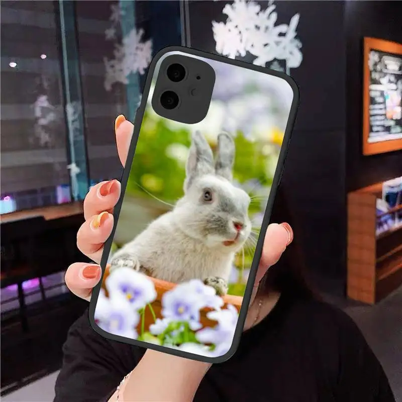 

animal cute rabbit Phone Cases Matte Transparent for iPhone 7 8 11 12 s mini pro X XS XR MAX Plus cover funda
