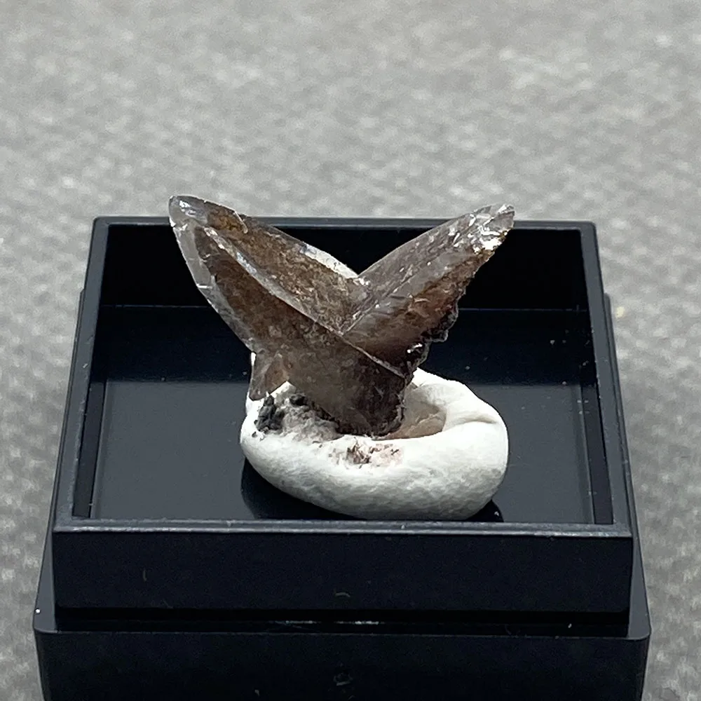 

Natural swallowtail twin crystals are very rare and good specimens +Box size 25mm 10 #