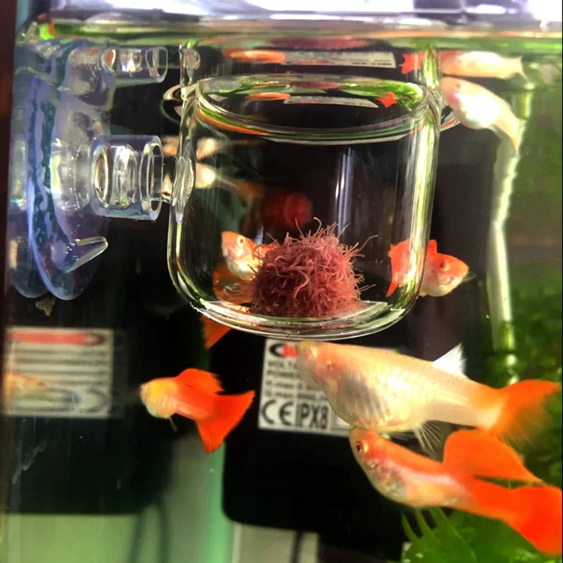 

2Pcs Aquarium Cone Red Worm Feeder Fish Feeding Cup Container Holder with Sucker