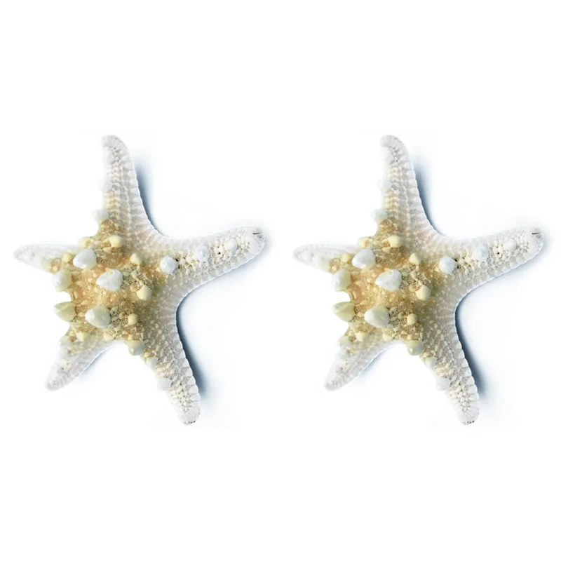 2pcs Natural Starfish Sea Star shell Making DIY Craft Decor | Дом и сад