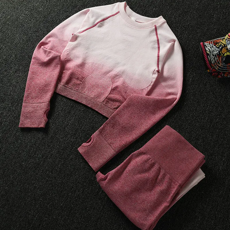 

2PCS Yoga Set Women Long Sleeve Crop Tops And High Waisted Tummy Control Sport Leggings Gym Clothing Ombre Seamless Sport Suit