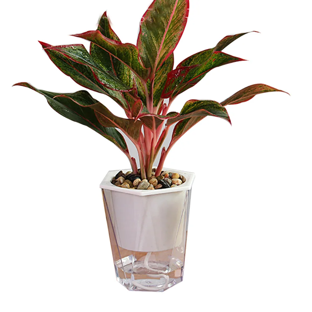

Flower Plant Pot Self Watering Planter Transparent Planting Flower Pot Water Storage Basin LB88