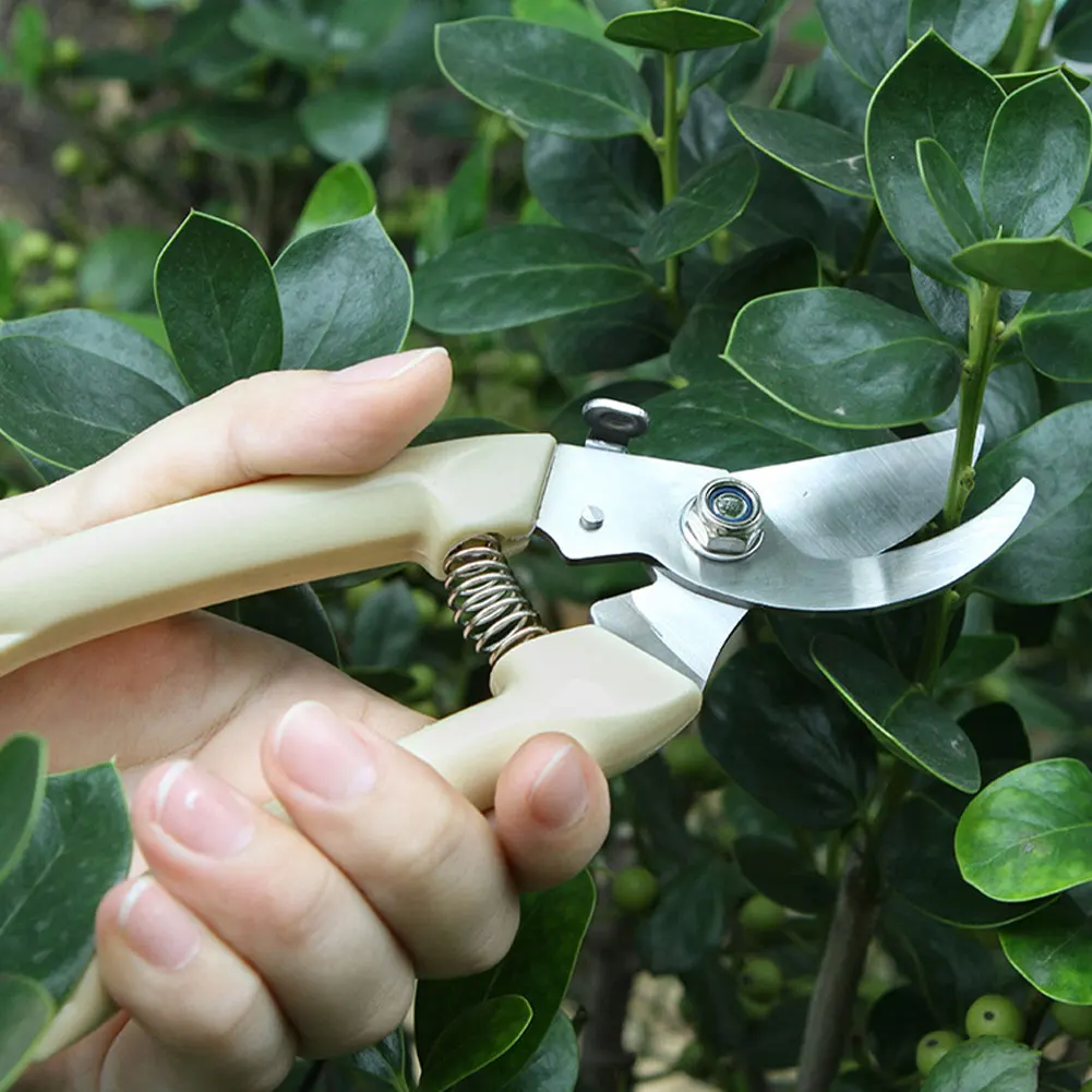 

Gardening Pruning Shears Stainless Steel Hand Pruners Bypass Pruners Garden Clippers Fruits Picking Scissors Hand Tools