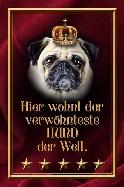 

Related Dog Pug Sheet Metal Shield Shield Curved Metal Tin Sign (Visit Our Store, More Products !!!)