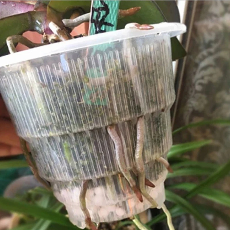 1PC Гидропонный сетчатый горшок для колонизации, корзина для выращивания аэропонических растений, клонирование, питомник без почвы.