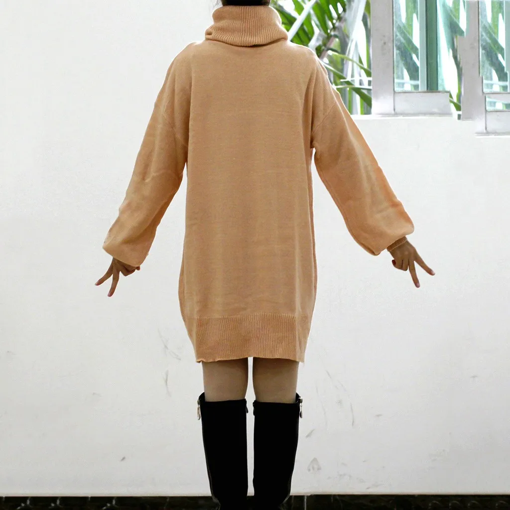Winter Turtleneck Sweater Women Solid Long Sleeve Knitted Loose Jumper Dress Casual Simple Female Pullovers | Женская одежда