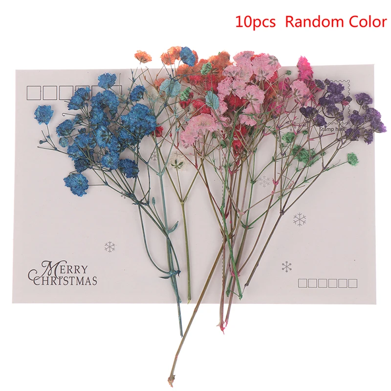 Искусственный Мини-цветок 10 шт./компл. милые сушеные цветы свадебное украшение